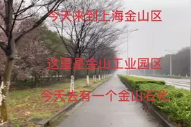 上海市上交国家的税收占全国一半左右，上海的工业也是非常的发达视频封面