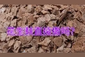 柑橘栽培管理当中大家都喜欢用花生麸和菜枯但是你真的用对了吗视频封面