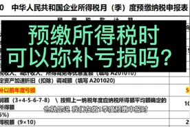 预缴所得税弥补亏损问题视频封面