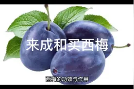 西梅功效与作用