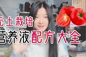 手把手教你配制无土栽培番茄营养液～附赠番茄营养液配方大全！视频封面