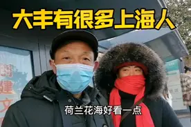 回上海高速太堵来大丰住一晚，准备去大丰农场看看上海人多不多视频封面