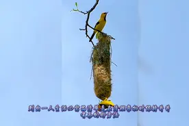 一人生活必需品- 极简生活清单视频封面