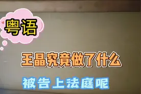 粤语#知名港星导演王晶究竟做了什么被告上法庭呢视频封面