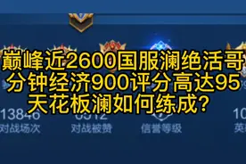 巅峰近2600国服澜绝活哥，分钟经济900评分高达95，天花板打野！视频封面
