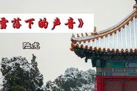 陆虎《雪落下的声音》一下雪，故宫就变成了紫禁城。视频封面