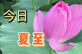 今日夏至，饮食起居要注意点啥？