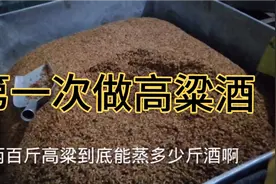 第一次做高梁酒看两百斤高梁能蒸多少斤酒，产量是正常还是不正常视频封面