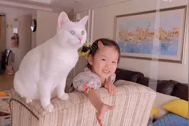 小铲屎官和她的猫，玩气球的日常视频封面