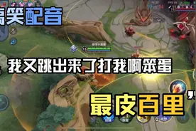 我又跳出来了打我啊笨蛋视频封面