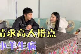 小羊一天不吃东西，在高人指点下找到病因，原来都是小敏惹的祸视频封面