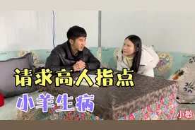 小羊一天不吃东西，在高人指点下找到病因，原来都是小敏惹的祸视频封面