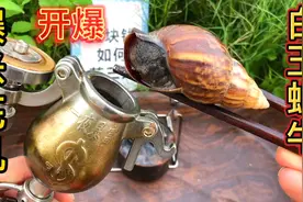 听说白玉蜗牛寄生虫细菌非常多，用爆米花机高温爆烤，可以食用吗视频封面