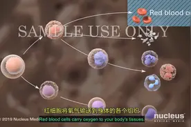 3D医学视频：认识“白血病”（原版英文+中英双字幕）视频封面