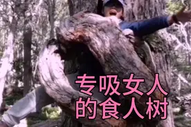 这颗食人树，专吸女人视频封面