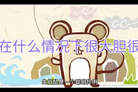 生肖鼠在什么情况下很大胆很强硬？视频封面
