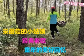 经典怀旧歌曲《采蘑菇的小姑娘》勾起童年无限美好的回忆视频封面