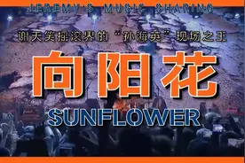 前奏就让人沸腾《向阳花》滚圈“孙海英”谢天笑不愧现场之王！视频封面