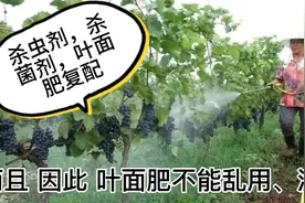 如何复配杀虫剂  杀菌剂和叶面肥视频封面