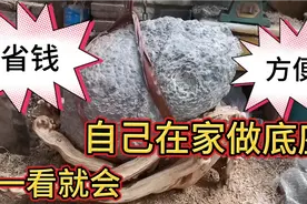 烂树根做创意奇石底座！价值提升几百倍  一个省1000 在家也能做视频封面