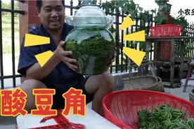 酸豆角“新做法”，30斤豆角晒干水分，搓上2包盐，只要3天就酸了视频封面