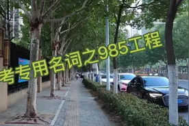 高考专用名词之985工程视频封面