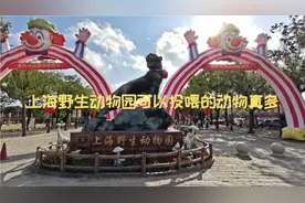 上海野生动物园可以投喂的动物真多视频封面