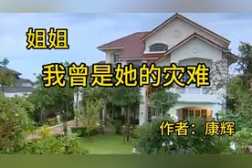 《姐姐——我曾是她的灾难》作者：康辉视频封面