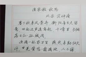 最美中国字，能写成艺术的文字，听说写错更真实😃视频封面