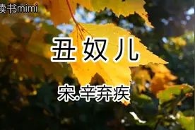 少年不知愁滋味，经历坎坷后叹到秋凉好个秋！辛弃疾《丑奴儿》视频封面