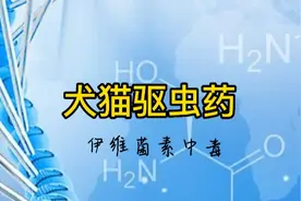 狗驱虫药（伊维菌素）中毒视频封面