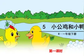 人教部编版一年级语文下册，第5课小公鸡和小鸭子第1课时提前预习视频封面