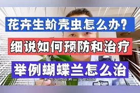花卉生蚧壳虫怎么办？细说如何预防和治疗！用蝴蝶兰举例建议收藏视频封面