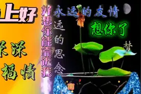晚上好！每天晚安语，深深祝福情。视频封面
