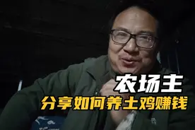 一年养三万只土鸡自己卖消费者，实现获利百万，几点做好并不难