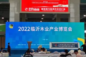 临沂板材展会，视频封面