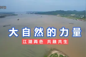 涨水最佳观测位！实拍鄱阳湖长江交汇处，两水交融太酷啦视频封面