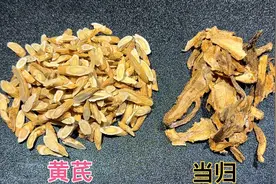 黄芪和当归放一起视频封面
