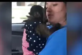 大叔和小象亲密拥抱玩耍，好温馨的画面呀！就像一对亲密的好伙伴视频封面