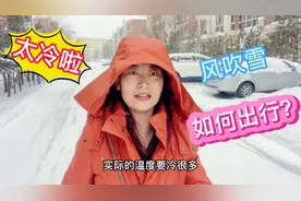 一觉醒来暴雪堵住家门口：内蒙天寒地冻咋出门？车子上路寸步难行视频封面