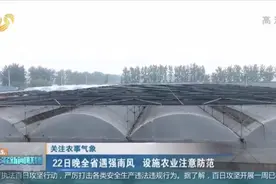 【关注农事气象】22日晚全省遇强南风 设施农业注意防范视频封面