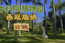 西双版纳景点推荐，中科院植物园宛如仙境！攻略分享视频封面
