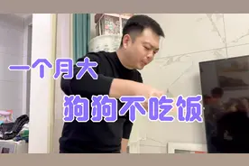 刚买回来一个月大的小狗不吃不喝不拉 老公急坏了 用尽方法去喂它视频封面