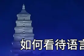 如何看待语言，王德峰教授讲述中国文化思想的根源视频封面