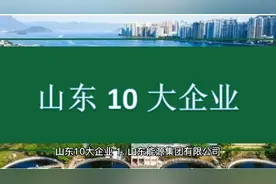 山东十大企业视频封面