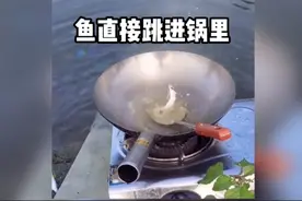 鱼竟然直接跳进锅里视频封面