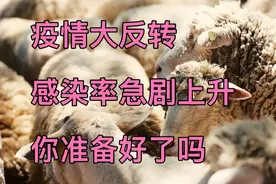 疫情大反转，感染率急剧上升，你准备好了吗？