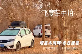 塔里木河畔 冬日车中露营 本田飞度露营车周末亲近大自然视频封面