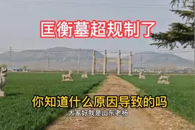 枣庄匡衡墓，凭神道和石像生就超规制了，知道是什么原因导致的吗视频封面