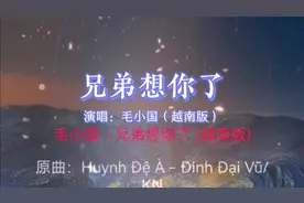 好听越南翻唱-毛小国《兄弟想你了》越南版
